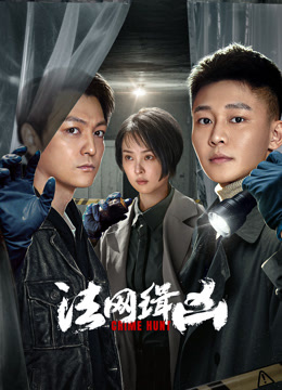 法网缉凶